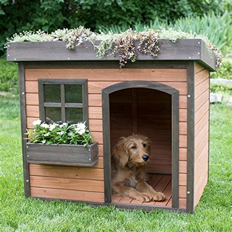 wooden double dog kennel|wooden small pet house.